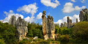 stone forest 02